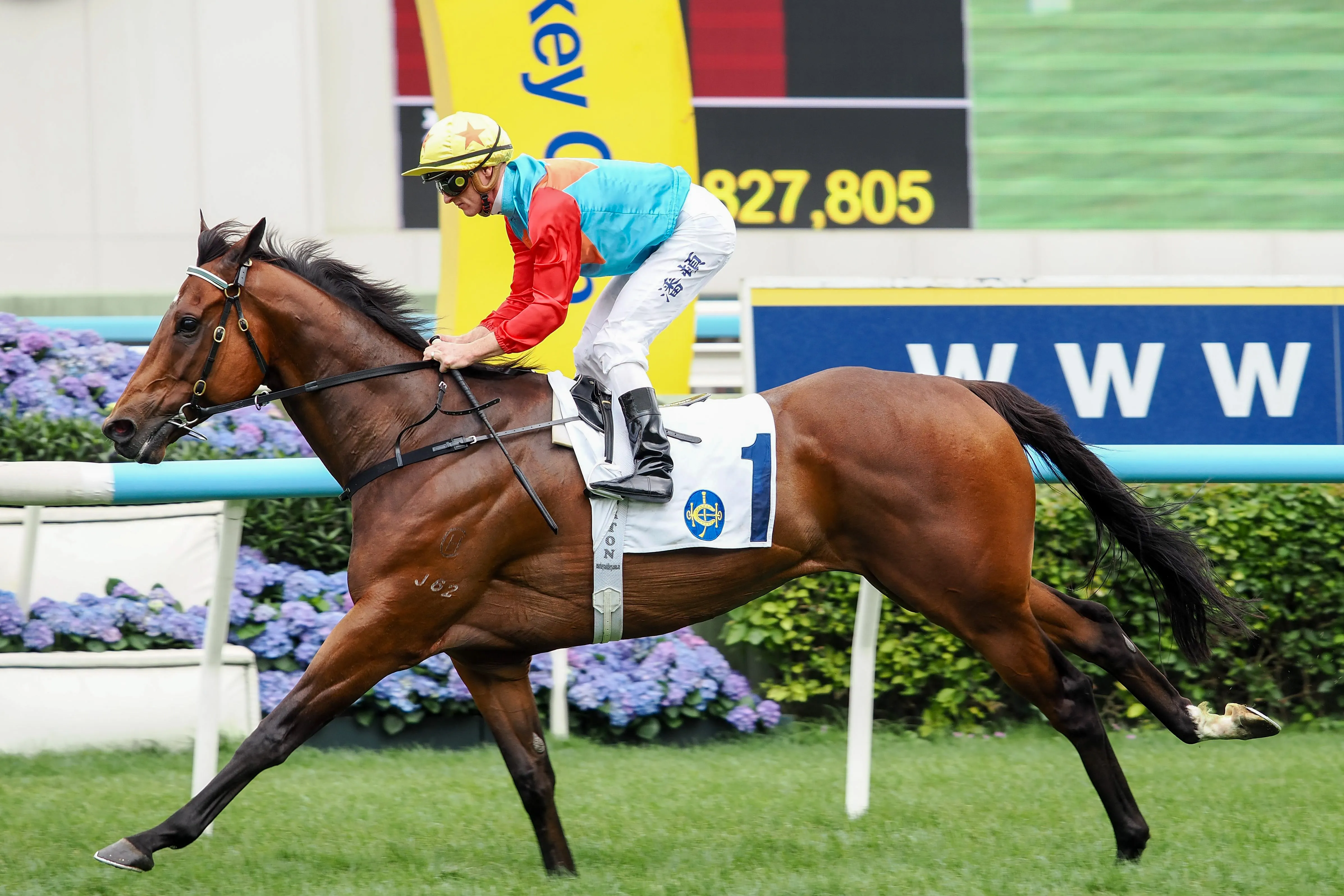Ka Ying Rising breaks Sha Tin track record and posts 19th straight win