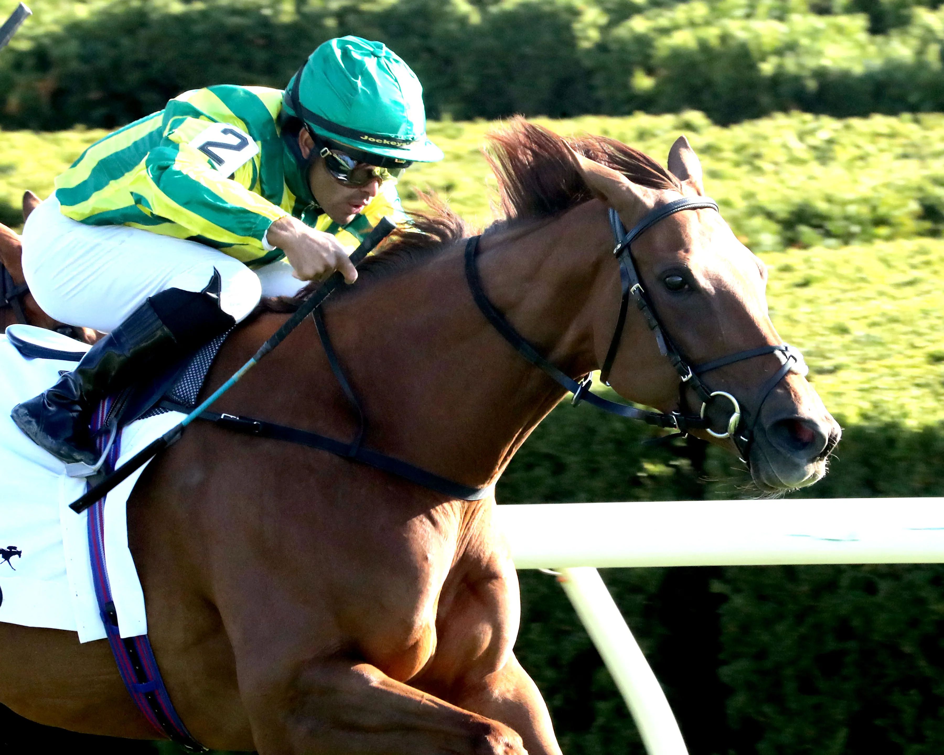 CHOISYA - The Jenny Wiley G1 - 04-12-25 - R10 - Keeneland Race Course - Finish 03 - Maddy Becker.jpg