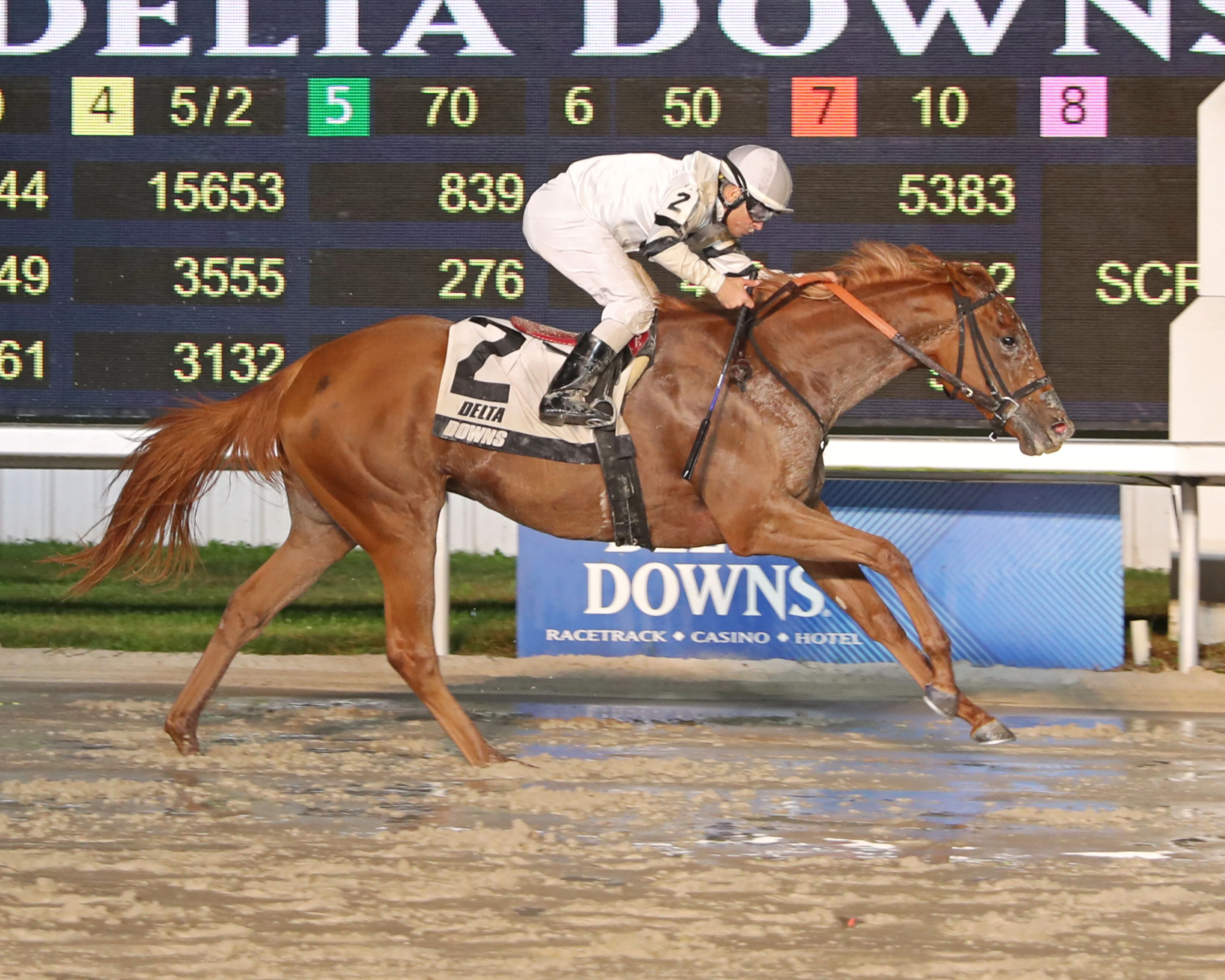 TAPIT JENALLIE - The 17th Running of the My Trusty Cat  - 11-10-23 - R05 - Delta Downs.jpg