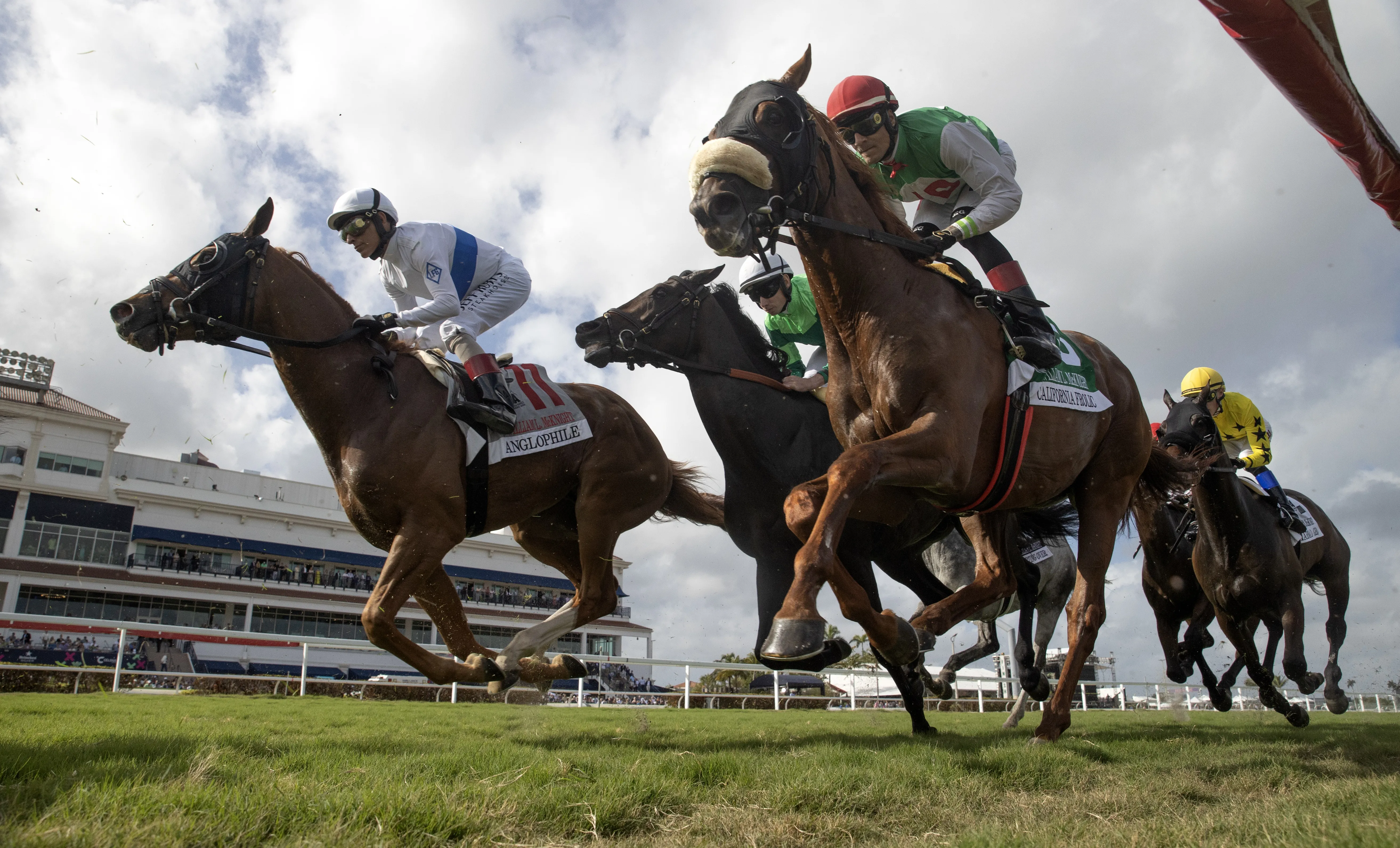 Anglophile.California Frolic.Gulfstream.Racing scenic.1-27-24.BL_.jpg