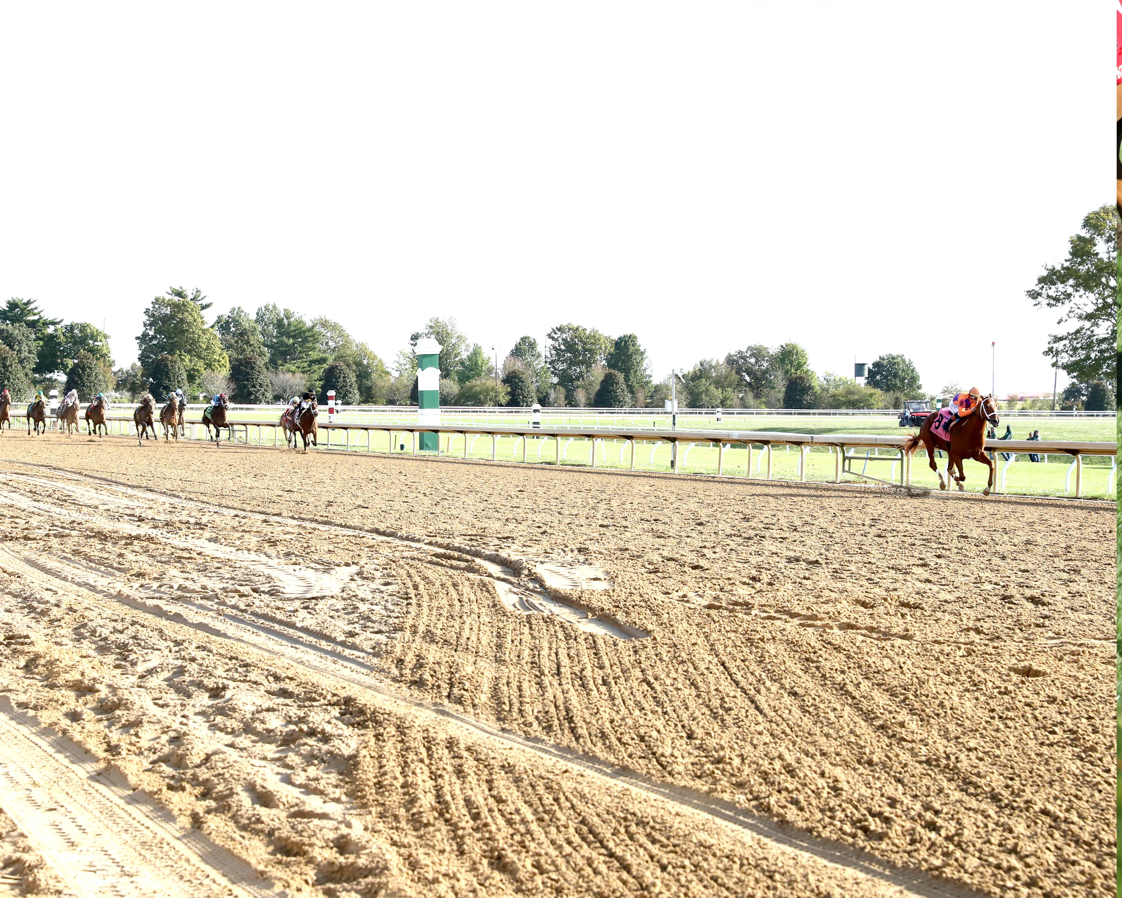 FURTHER ADO - 10-10-25 - R08 - Keeneland Race Course - Up Track 01.jpg
