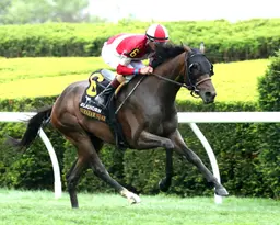 Burnham Square has no trouble with grass in Elkhorn Stakes