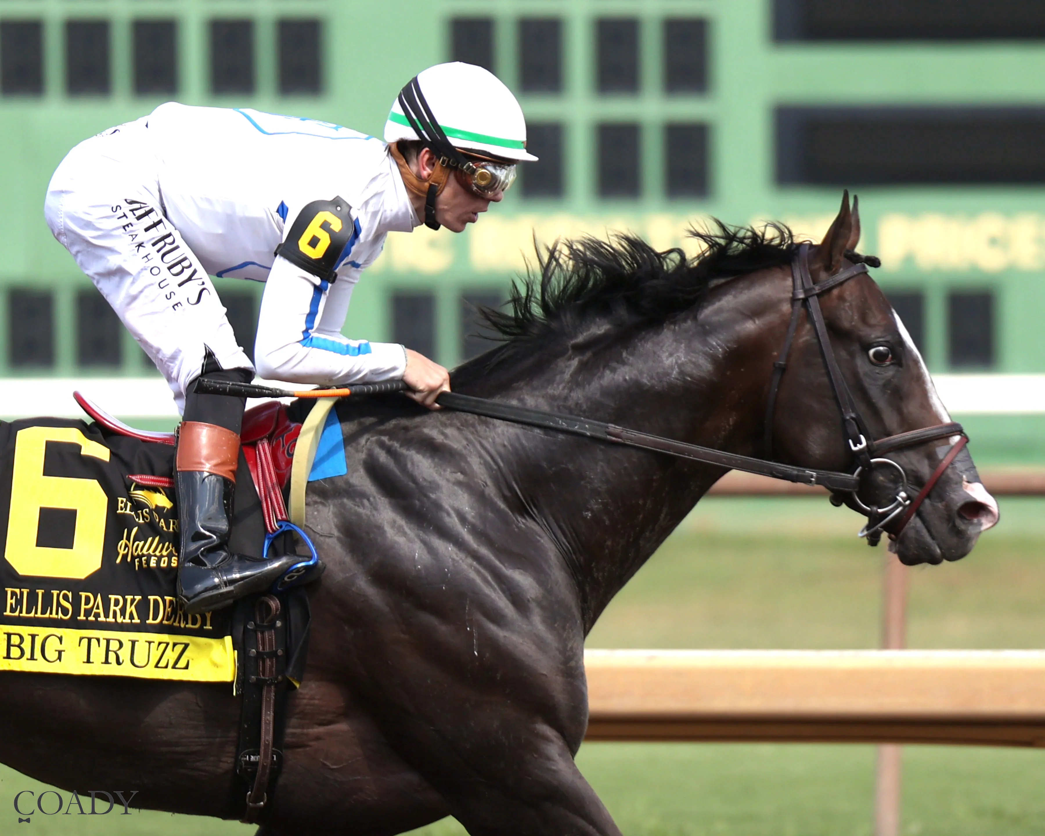 BIG TRUZZ - The Ellis Park Derby - 08-10-25 - R08 - Ellis Park - Tight Finish 01.jpg