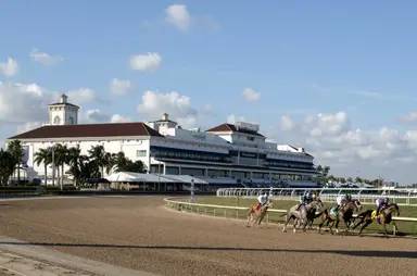 Negotiations ‘ongoing’ between Gulfstream and horsemen on live-racing contract
