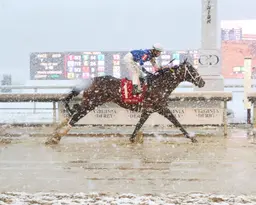 Digital Ops plows through the snow to take Golden Horseshoe
