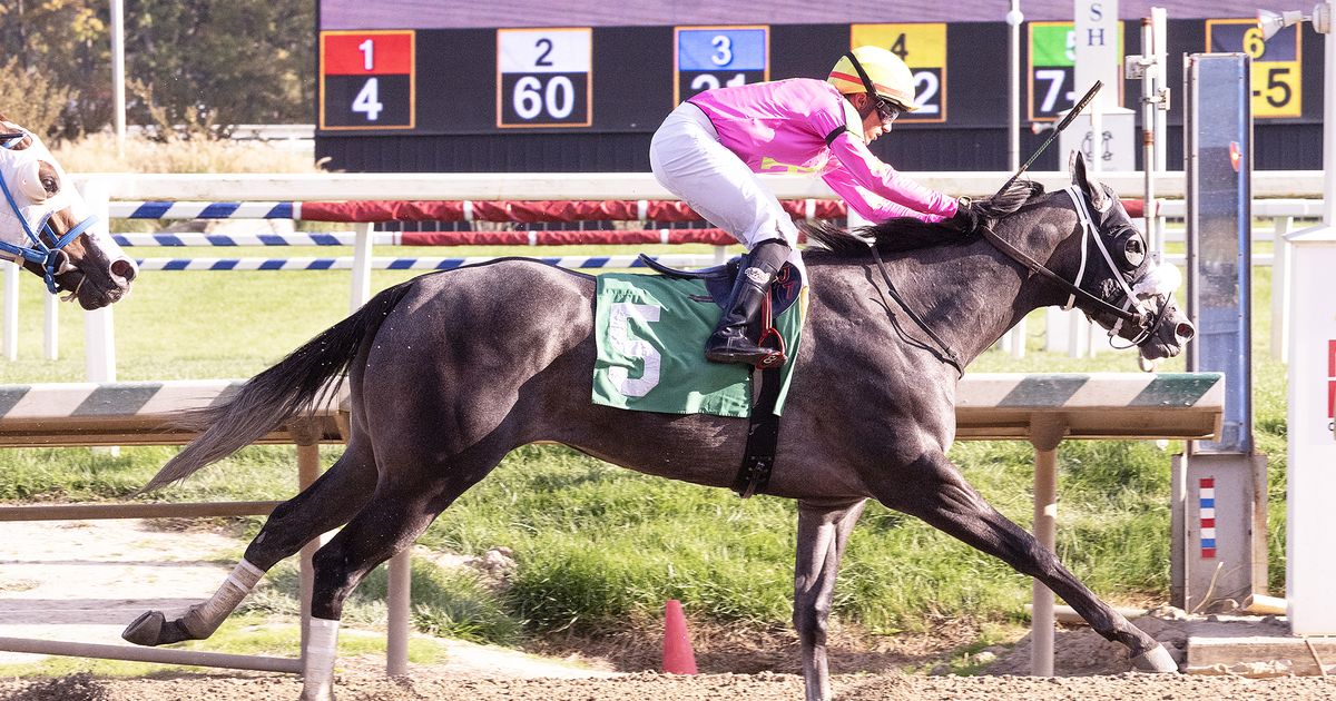 Ness mantiene a Kerness K en lotes competitivos