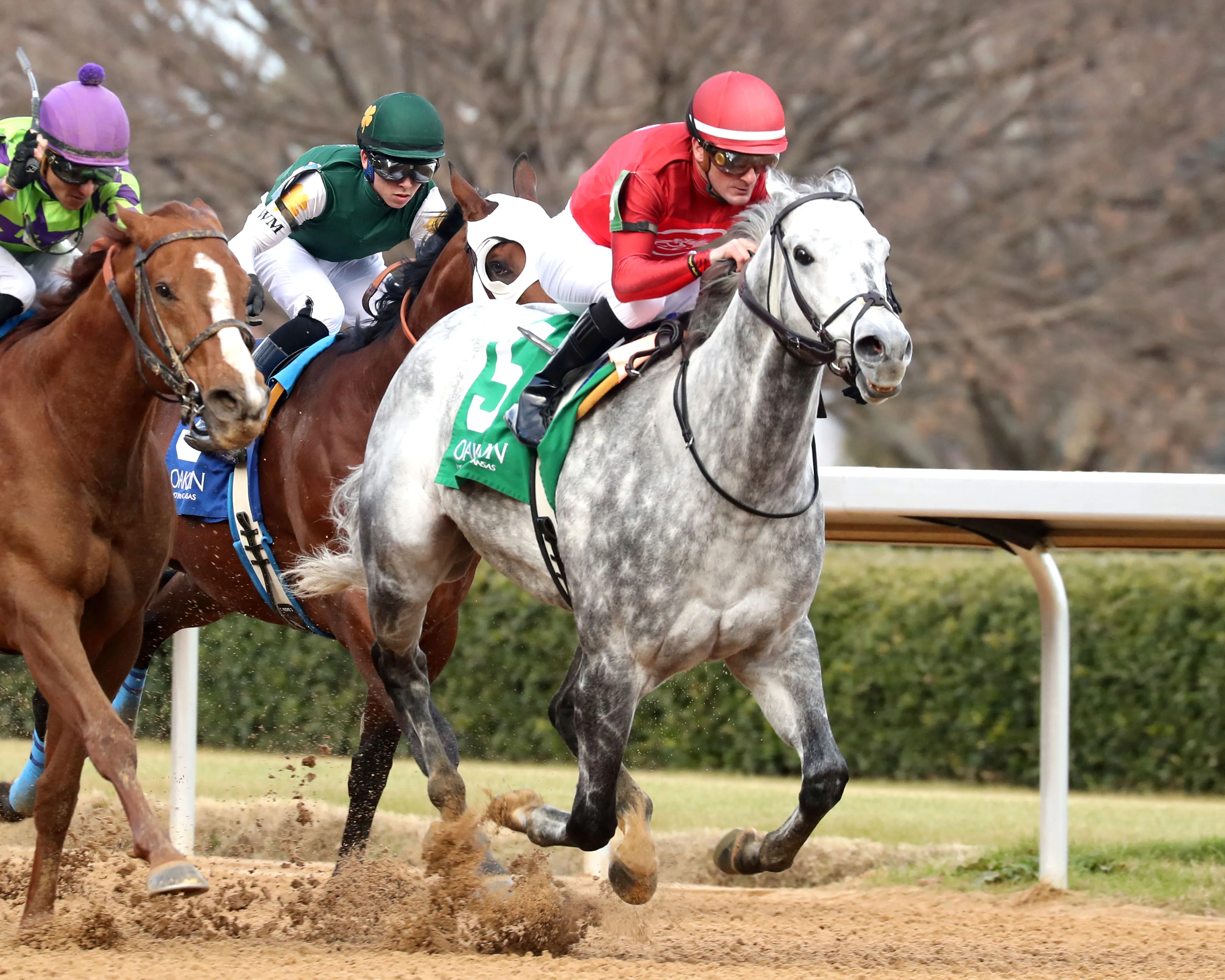 ROLL ON BIG JOE - The King Cotton Stakes - 75th Running- 02-08-26 - R08 - Oaklawn Park - Finish 02 - Cady Coulardot.jpg