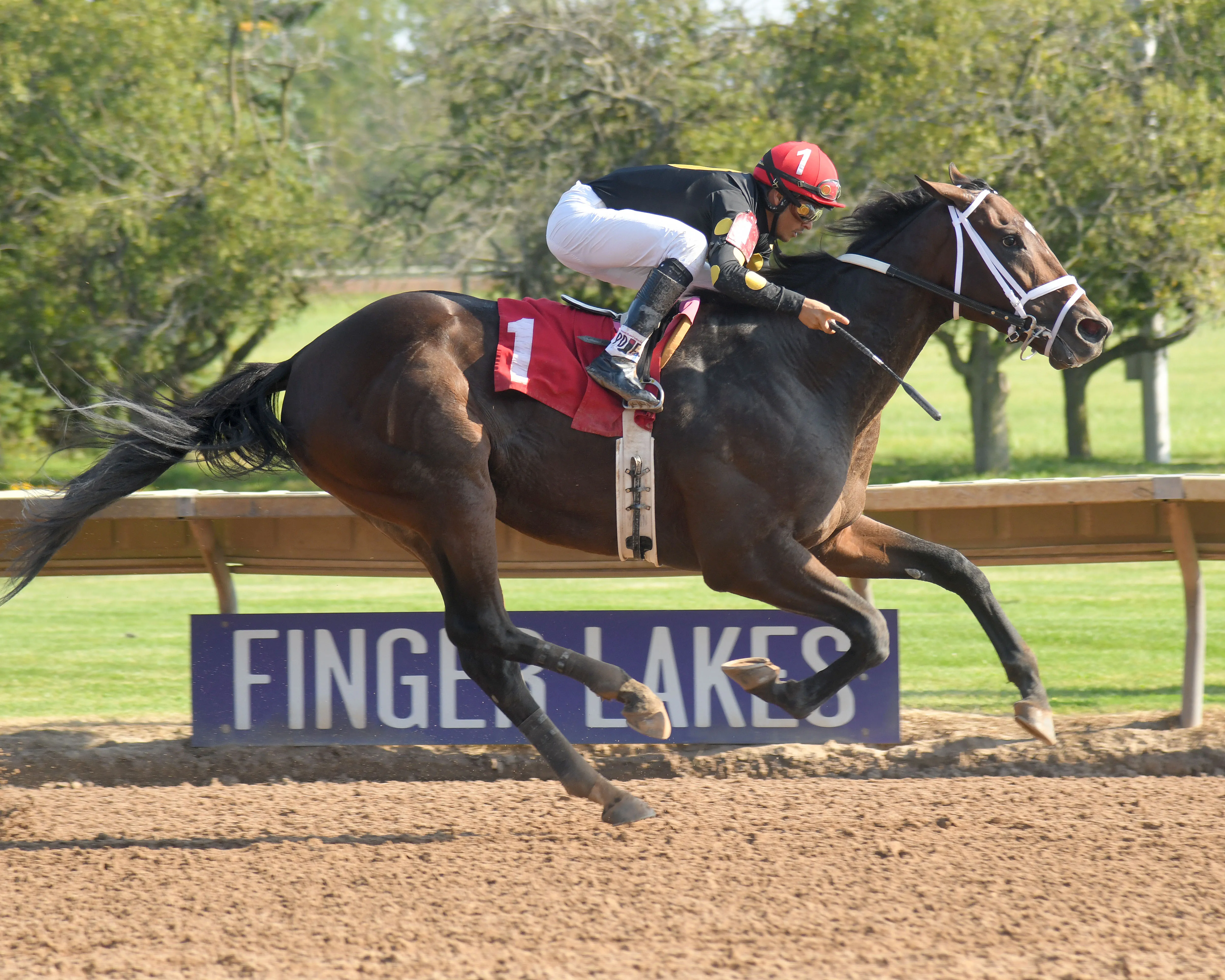 Barese/ Genesee Valley Breeders' Stakes