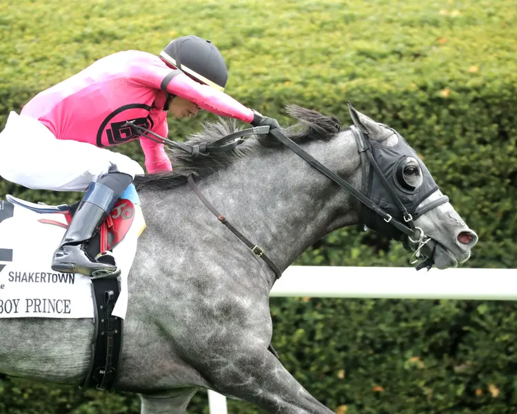 MY BOY PRINCE - The Valvoline Global Shakertown G2 - 04-04-26 - R10 - Keeneland Race Course - Finish 03 - Cady Coulardot.jpg