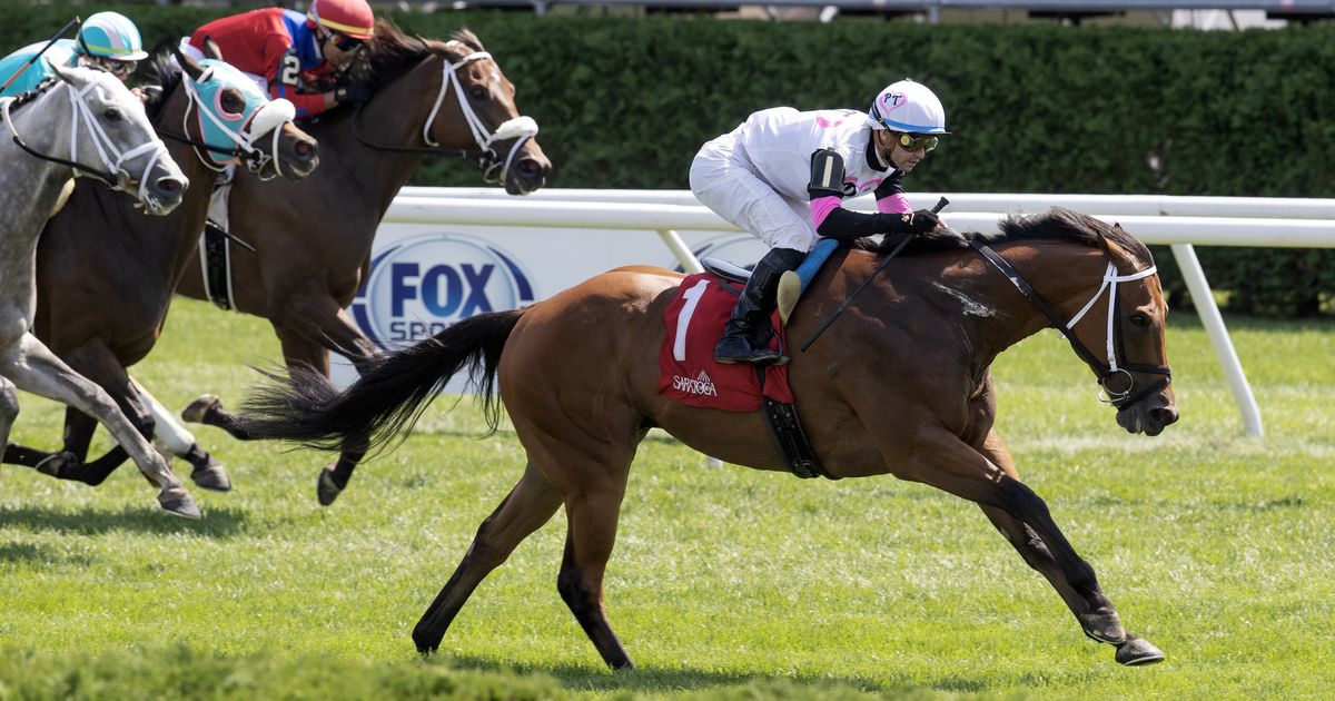 Lord Flintshire working bullets for steeplechase return in Kiser Memorial