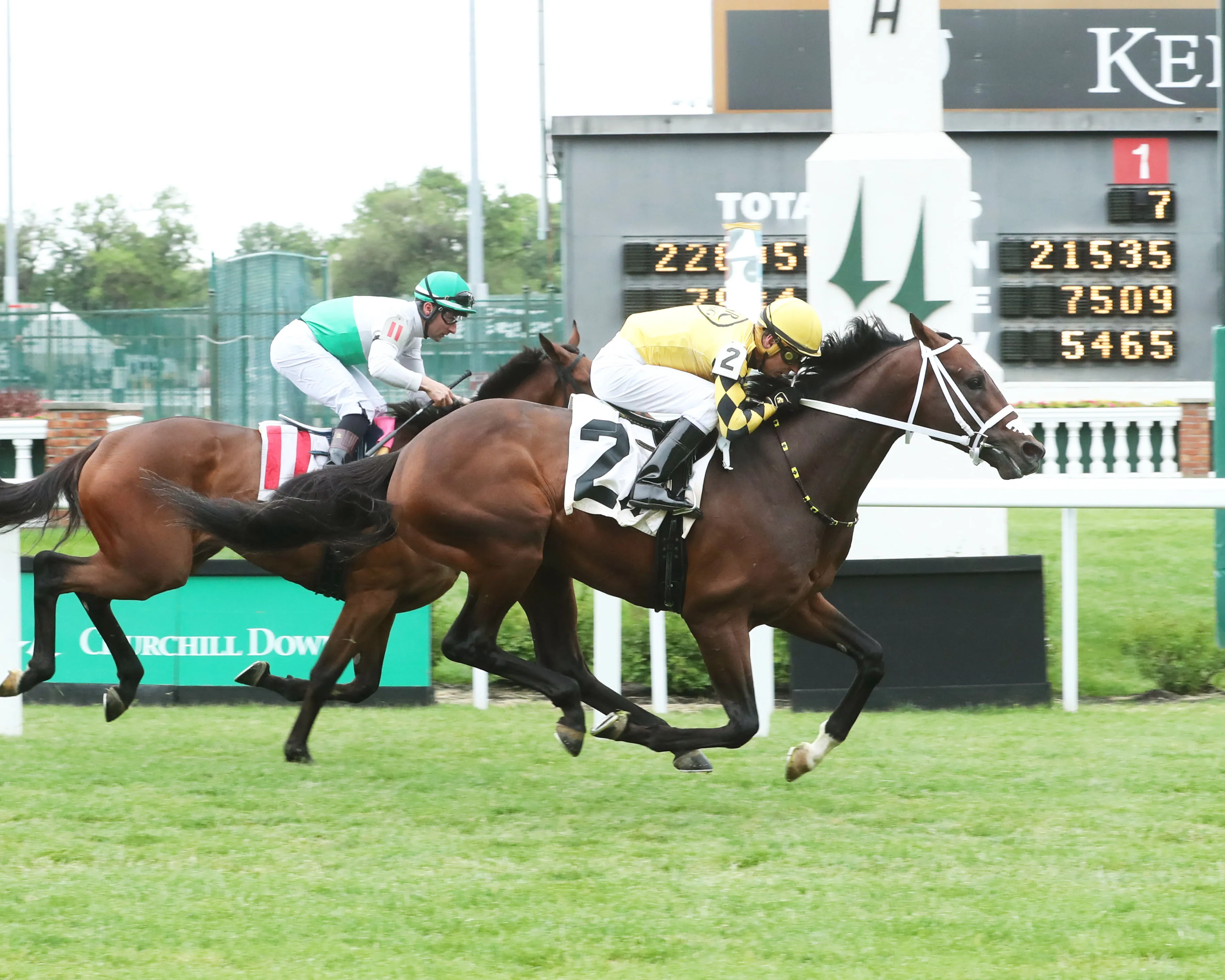King Curlin01.5.28.2023.CO_.jpg