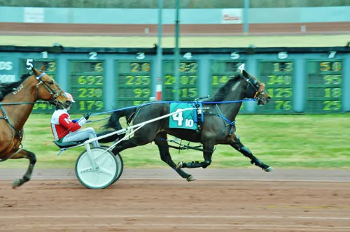 Bettor's Western 3-27-23