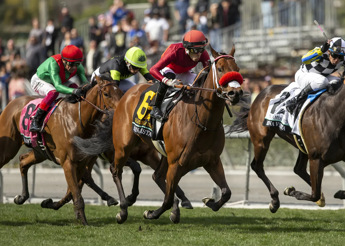 Quattroelle wins the Buena Vista at SA March 4 2023