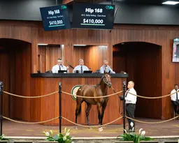 OBS June sale: $410,000 Early Voting colt tops first session