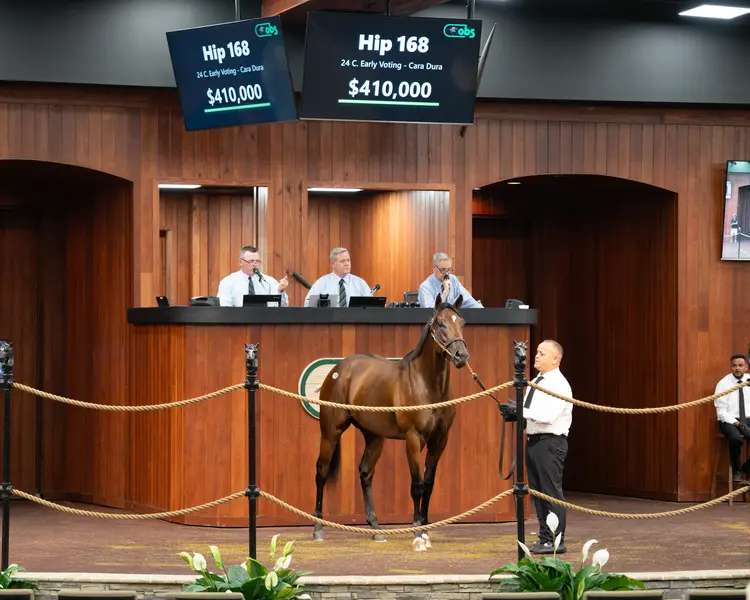 Hip 168 OBS June01.6.16.26.OBS_VidHorse Photo