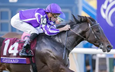 2025 Eclipse Awards: Gstaad