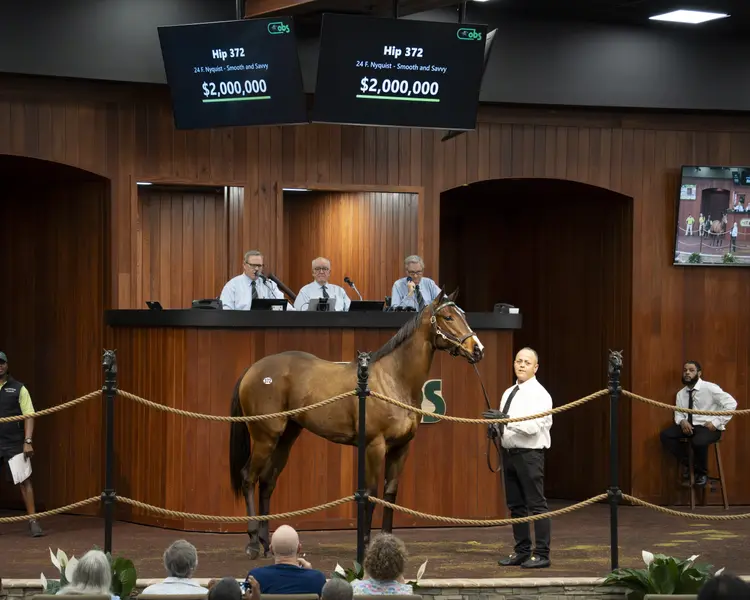 OBS March 2026 - Hip 372-1.jpg