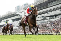 Hong Kong Season Wrap Up