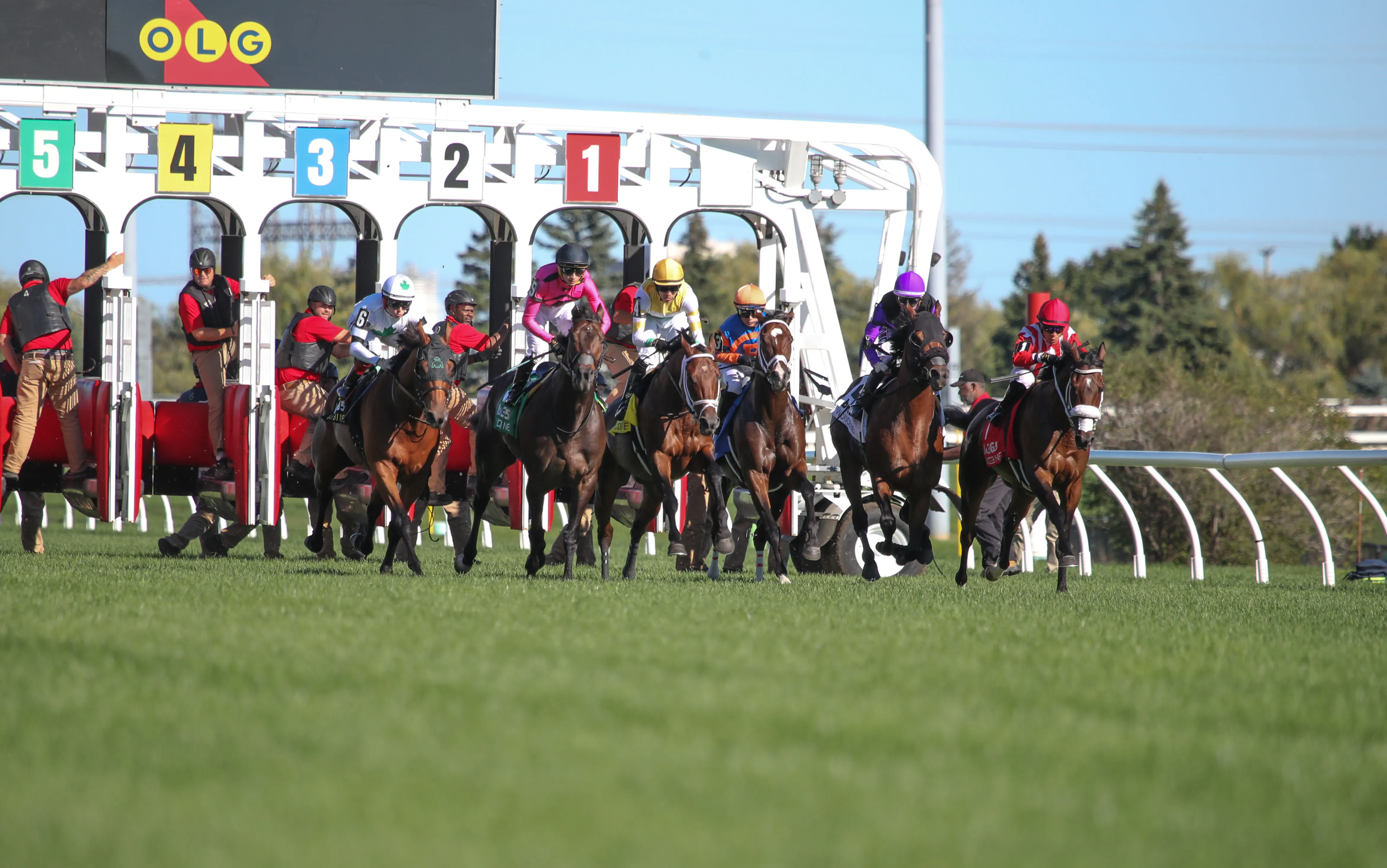 Woodbine Scenic02.09-28-25.JUW_.jpg