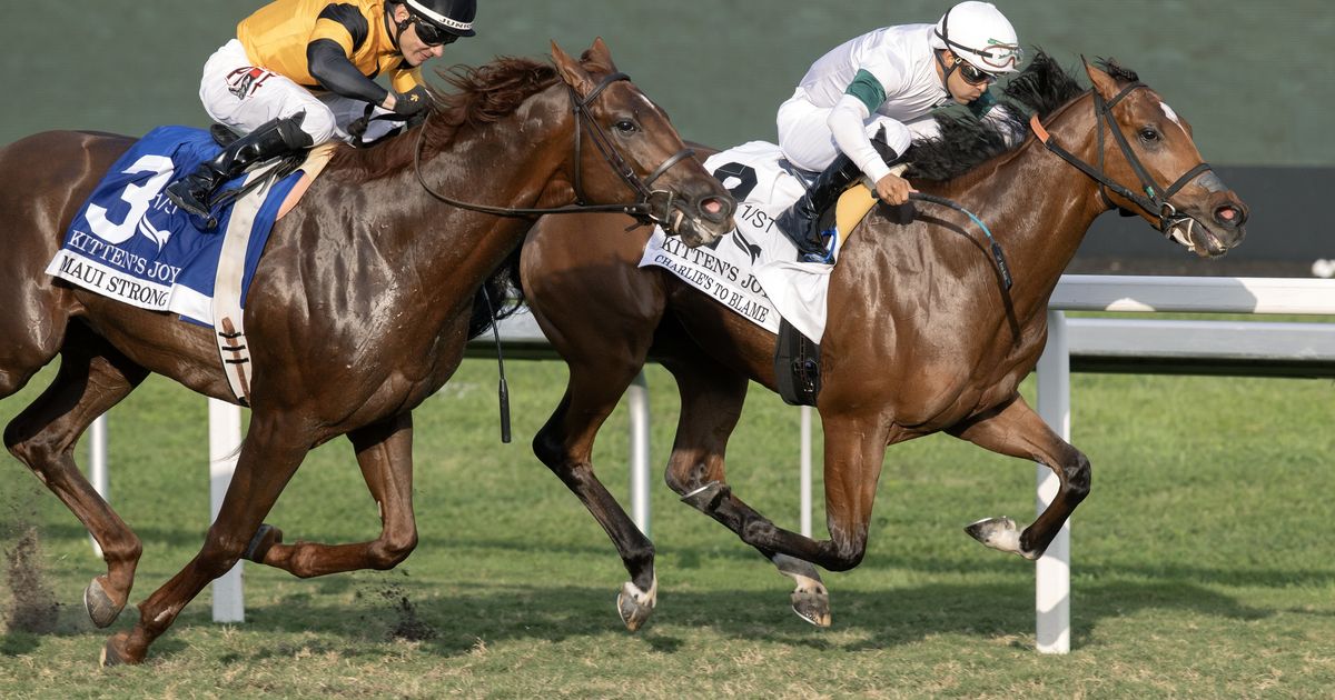 Charlie's to Blame the likely pacesetter in turf route