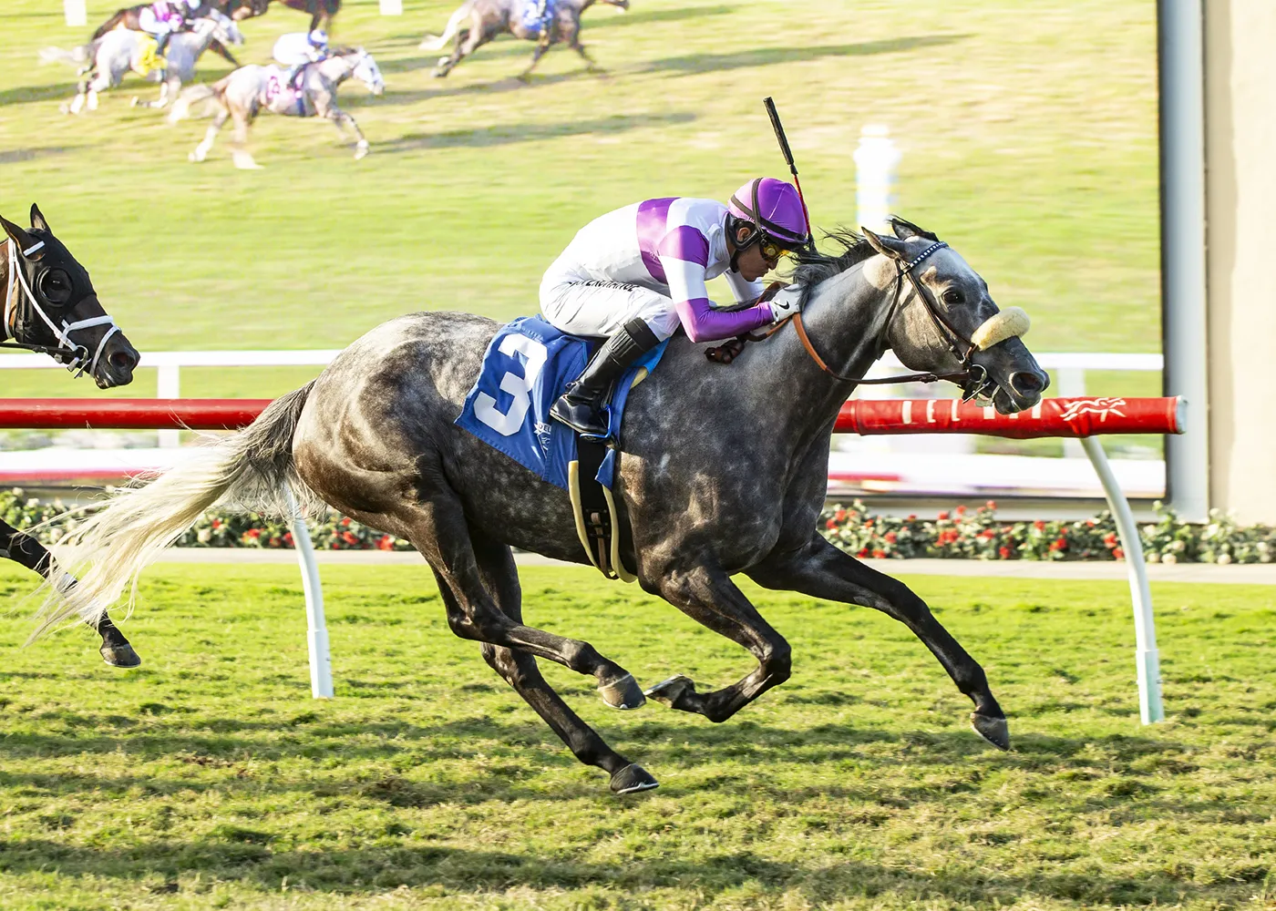 Eddie's New Dream wins Solana Beach at DMR Aug 25 2023
