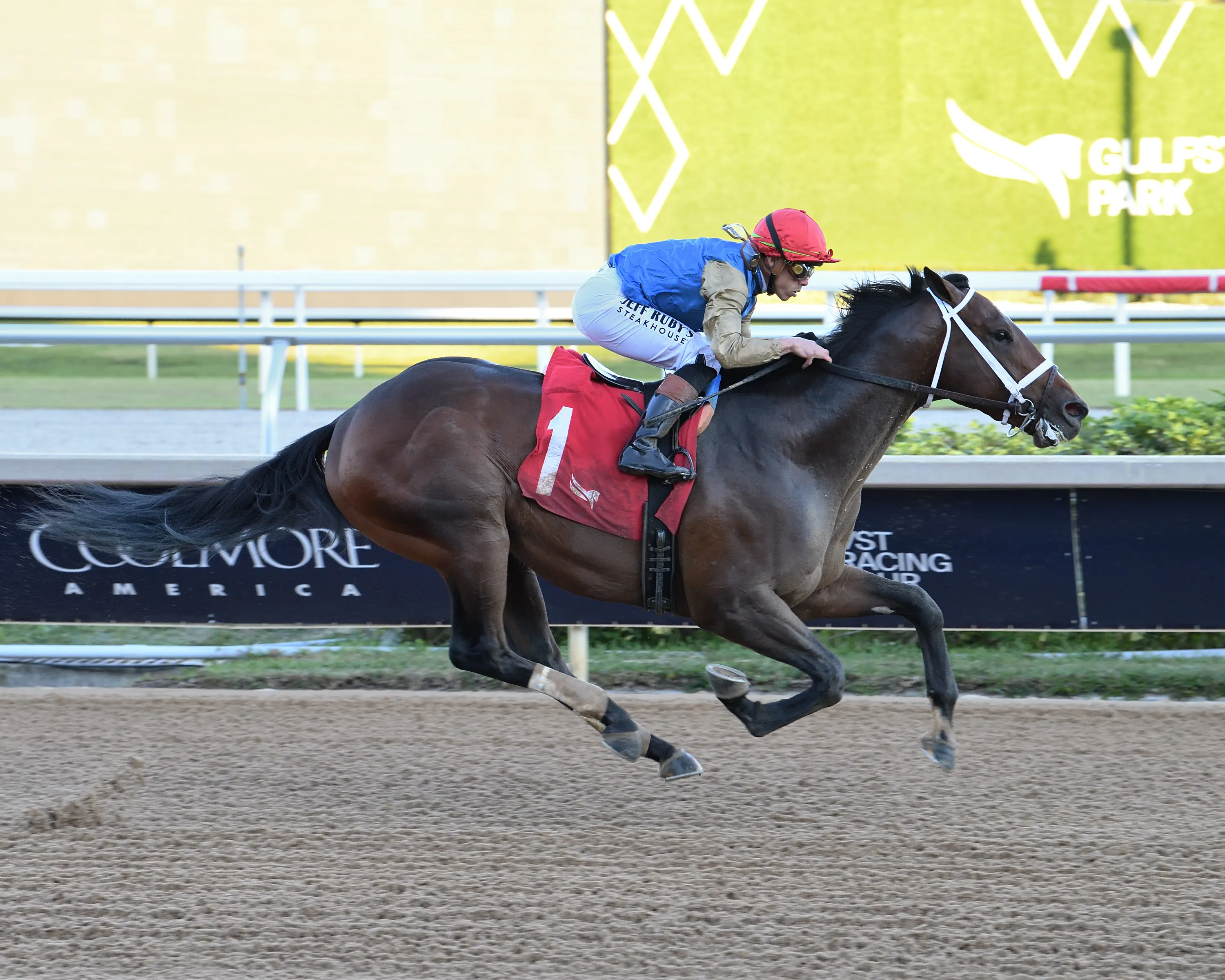 Commandment the Mucho Macho Man credit Lauren King.jpg