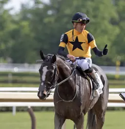 Always a Runner, Counting Stars get rubber match in CCA Oaks