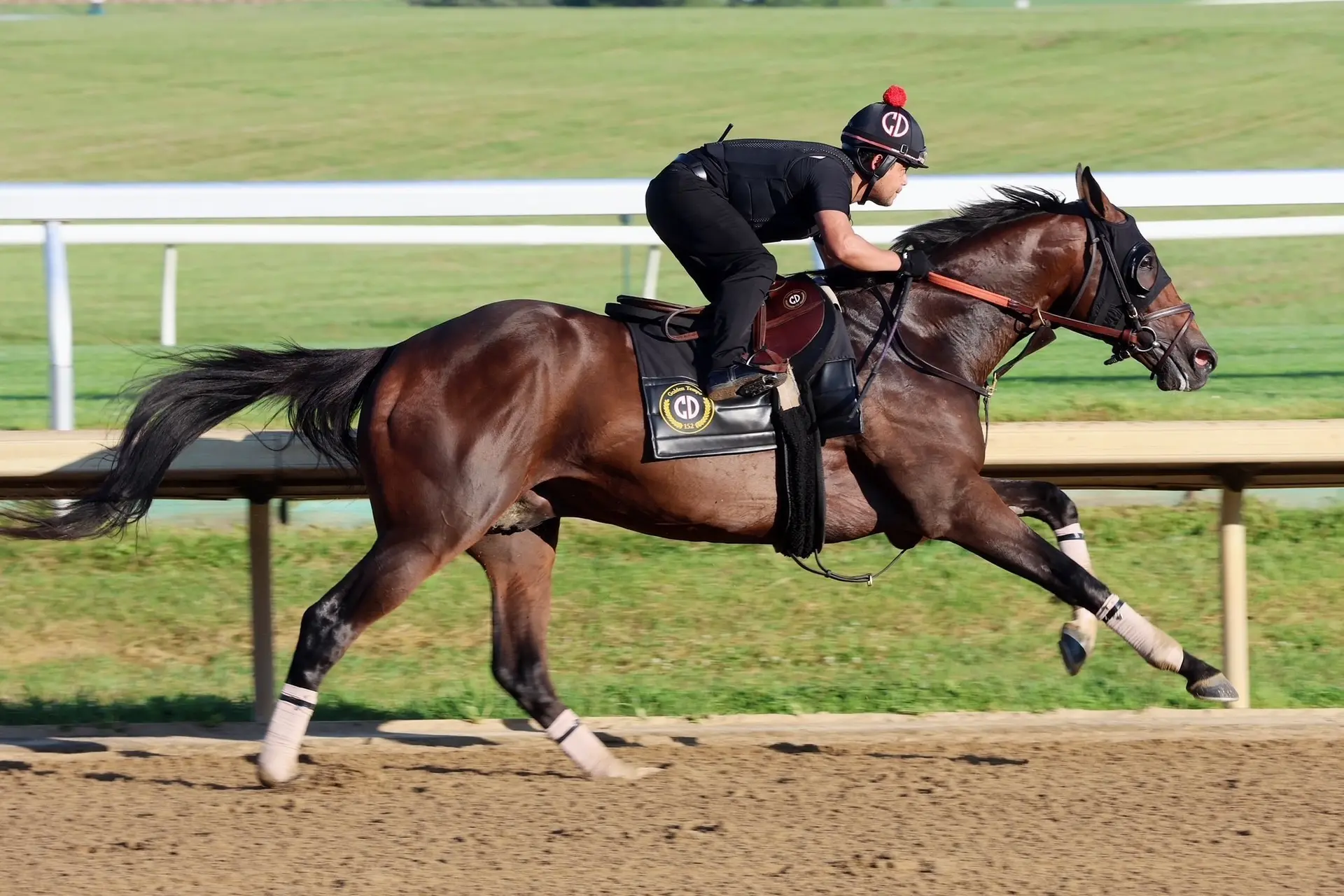 Golden Tempo returns to work tab with Travers up next