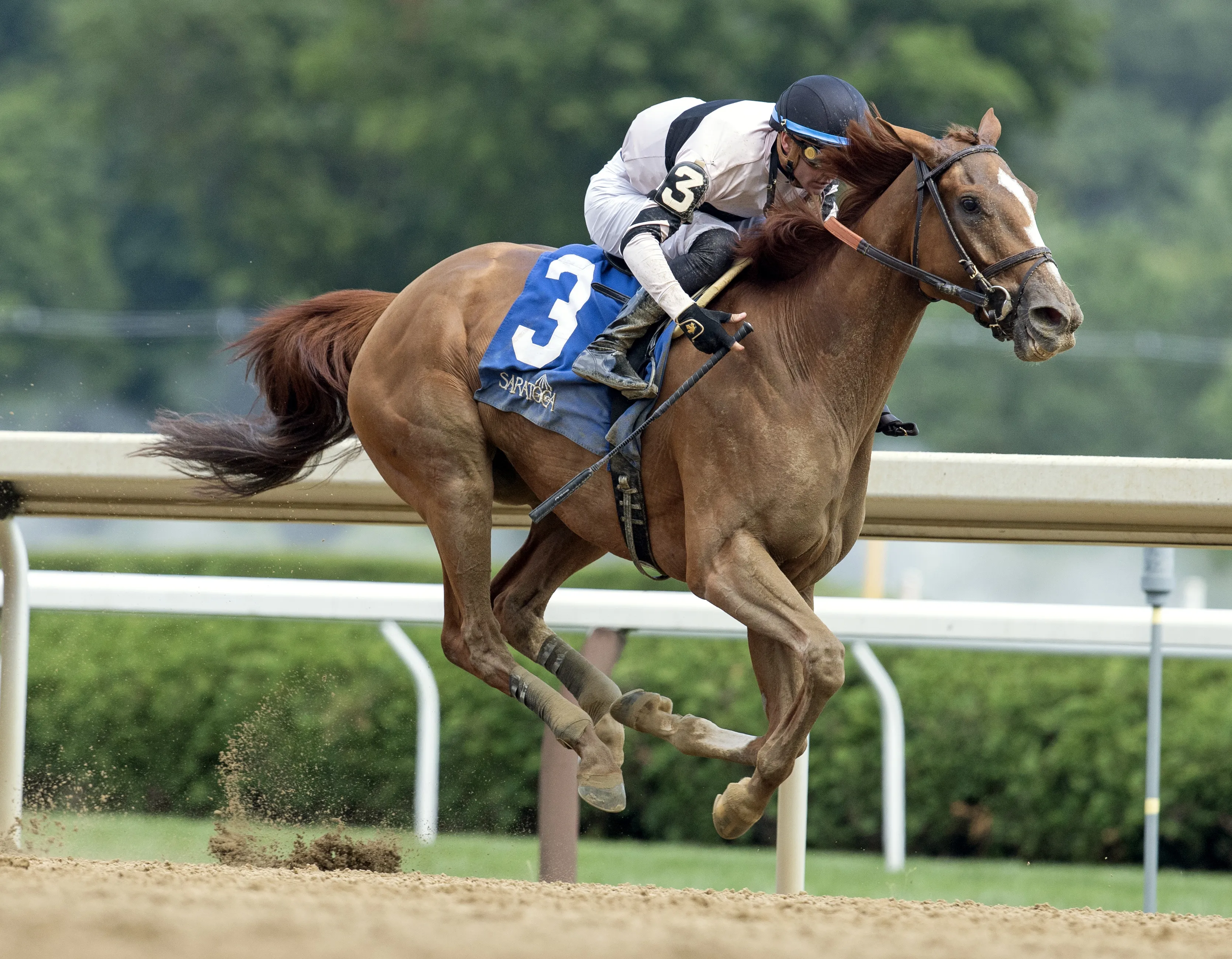 Eclipse Awards Raging Sea