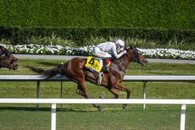 Layabout gets courageous up front to take William L. McKnight