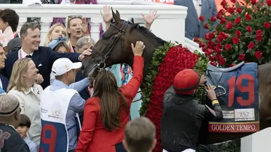 Golden Tempo the cherry on top for Phipps family