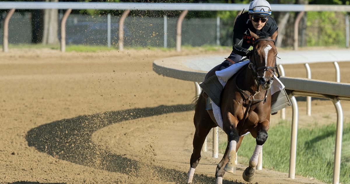 Brimming with confidence, Brown's lone concern is small Acorn field