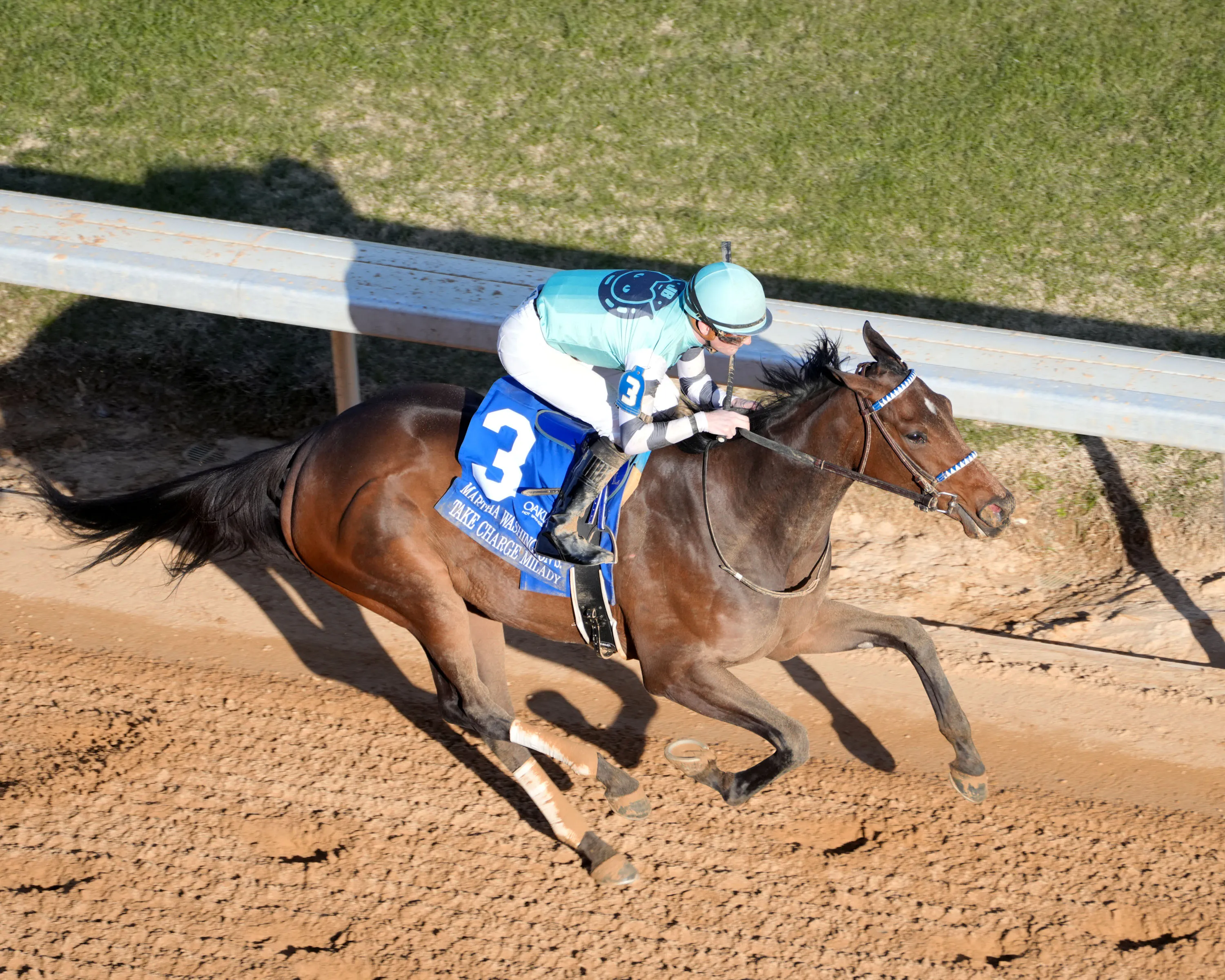 TAKE CHARGE MILADY - The Martha Washington Stakes - 47th Running - 01-25-25 - R09 - Oaklawn Park - Aerial Finish 01 - Shelby Ridgway.jpg