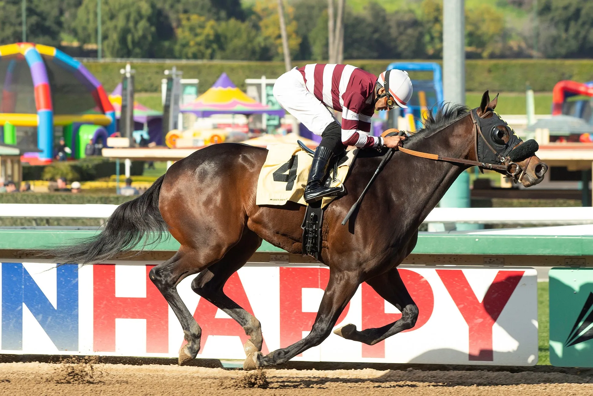 Bus Buzz wins maiden at SA Feb 4 2023