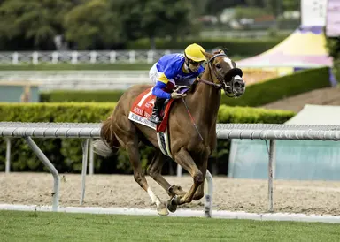 Public Assembly may be best of those gathered for Frankel