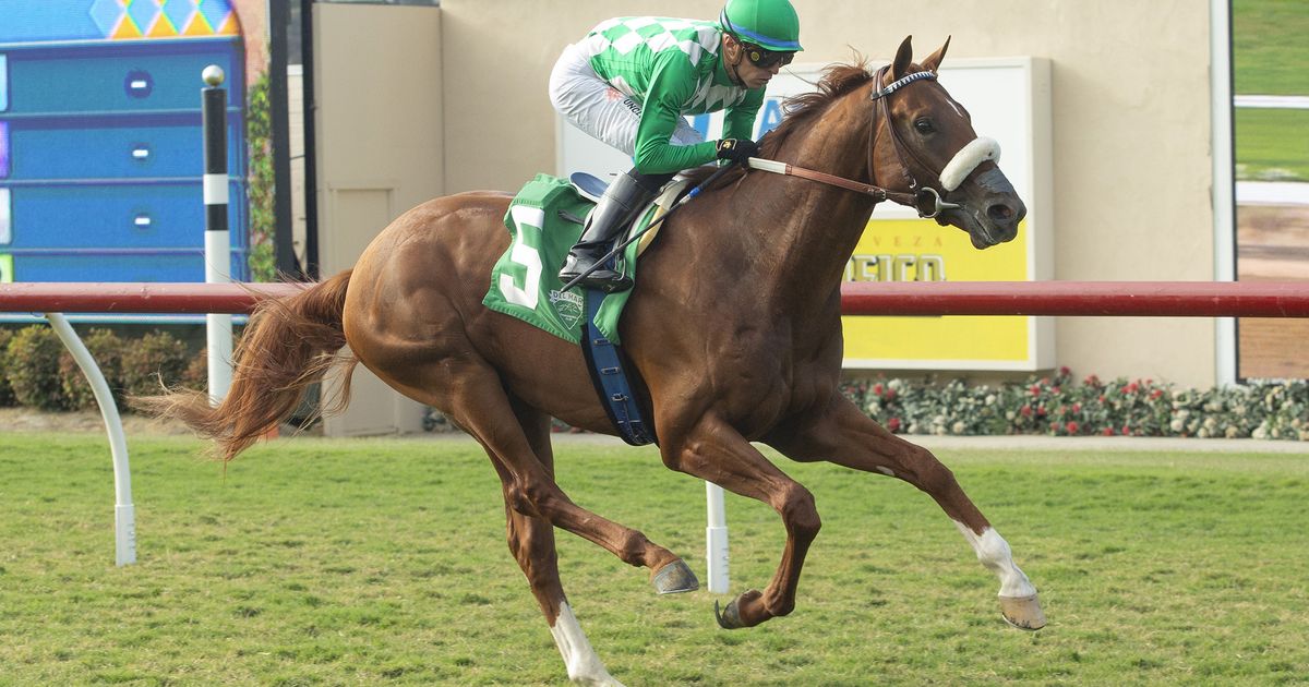 Unrivaled Time, He's a Knockout both get distance test in Snow Chief