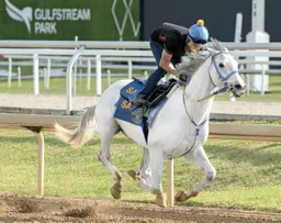 Joseph to follow same script with White Abarrio for Foster
