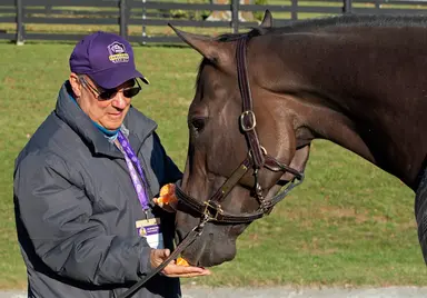 Orseno has fingerprints on three late pick five races; sequence features $63,841 carryover