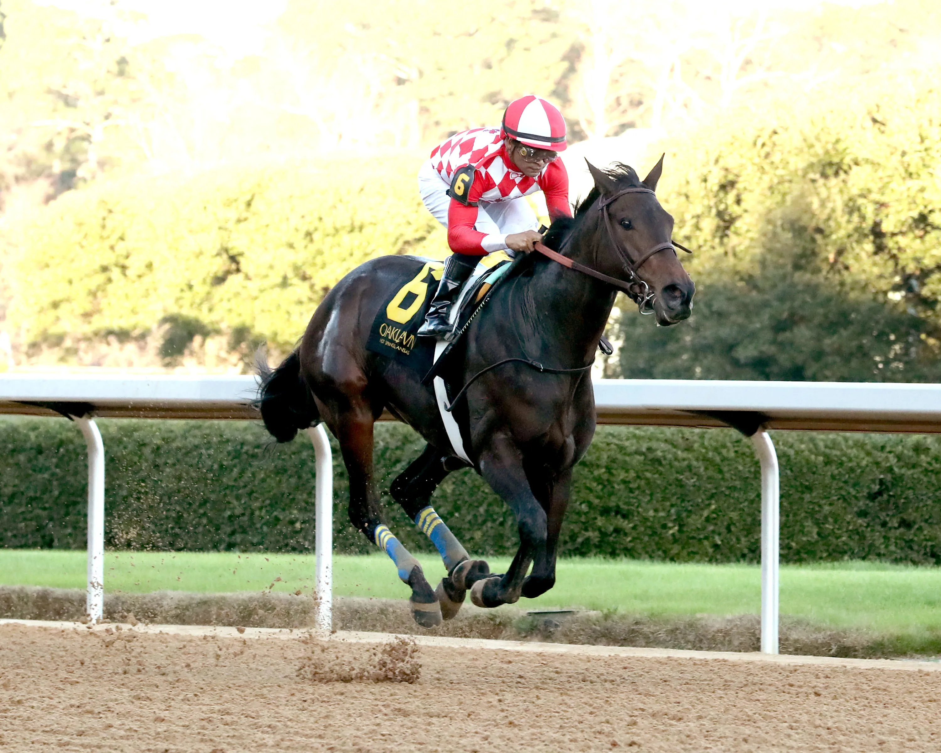 Standoutsensation03.12.26.25.COM_.jpg