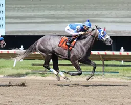 Front-running tactics prove best again for Summer’s Comin in Spruce Fir