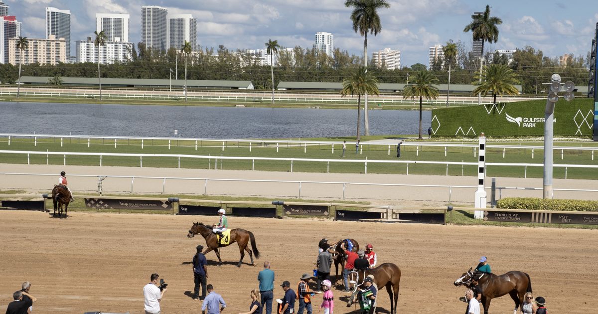 Gulfstream adds Monday racing, new wagering options