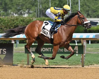 Flight Command targeting Saratoga Special off flashy debut