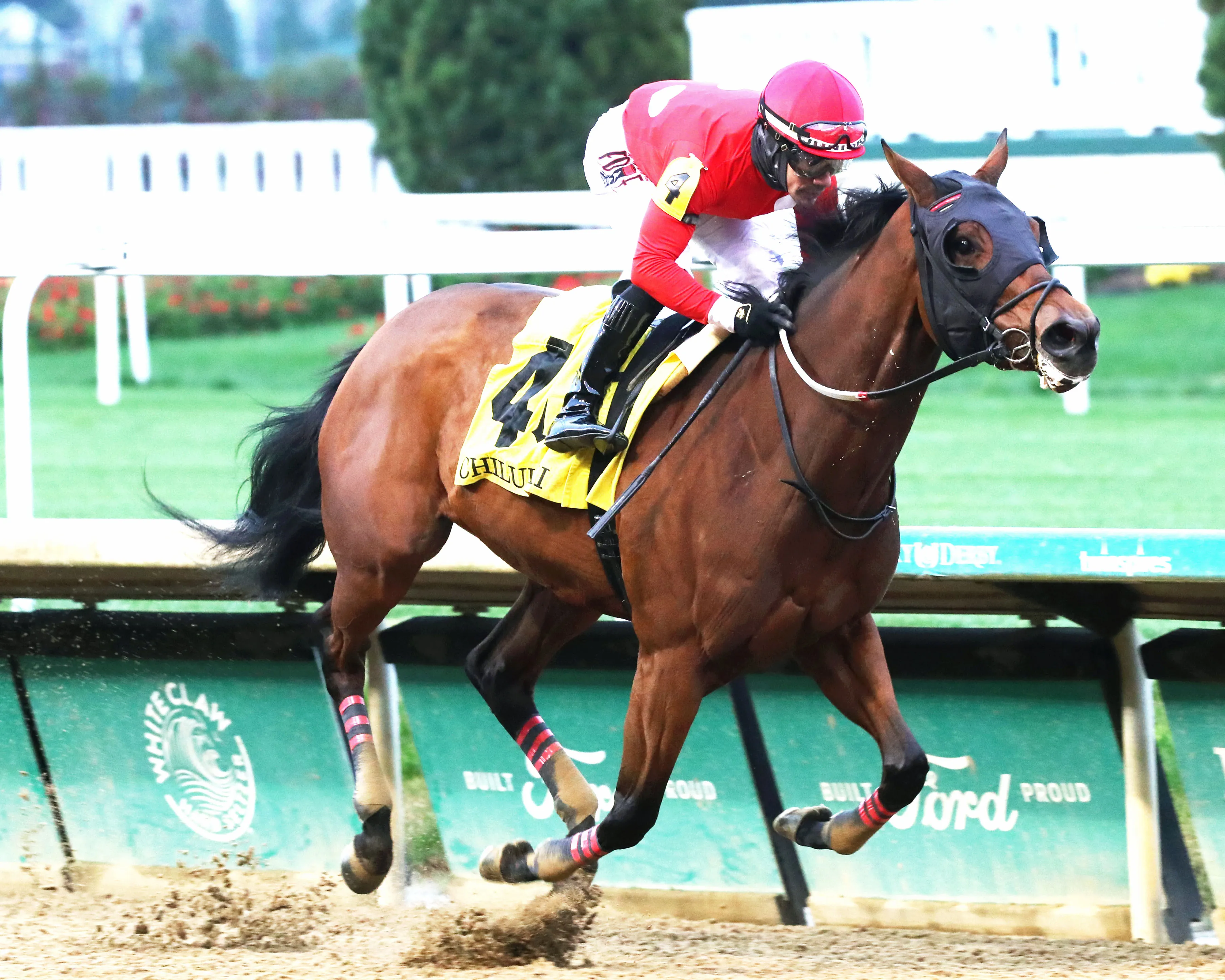 TWO SHARP - The Chilukki G3 - 11-23-24 - R08 - Churchill Downs - Finish 02 - Renee Torbit.jpg