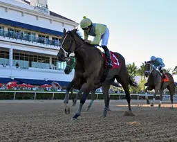 Runaway Diva regains form for hot Hemingway