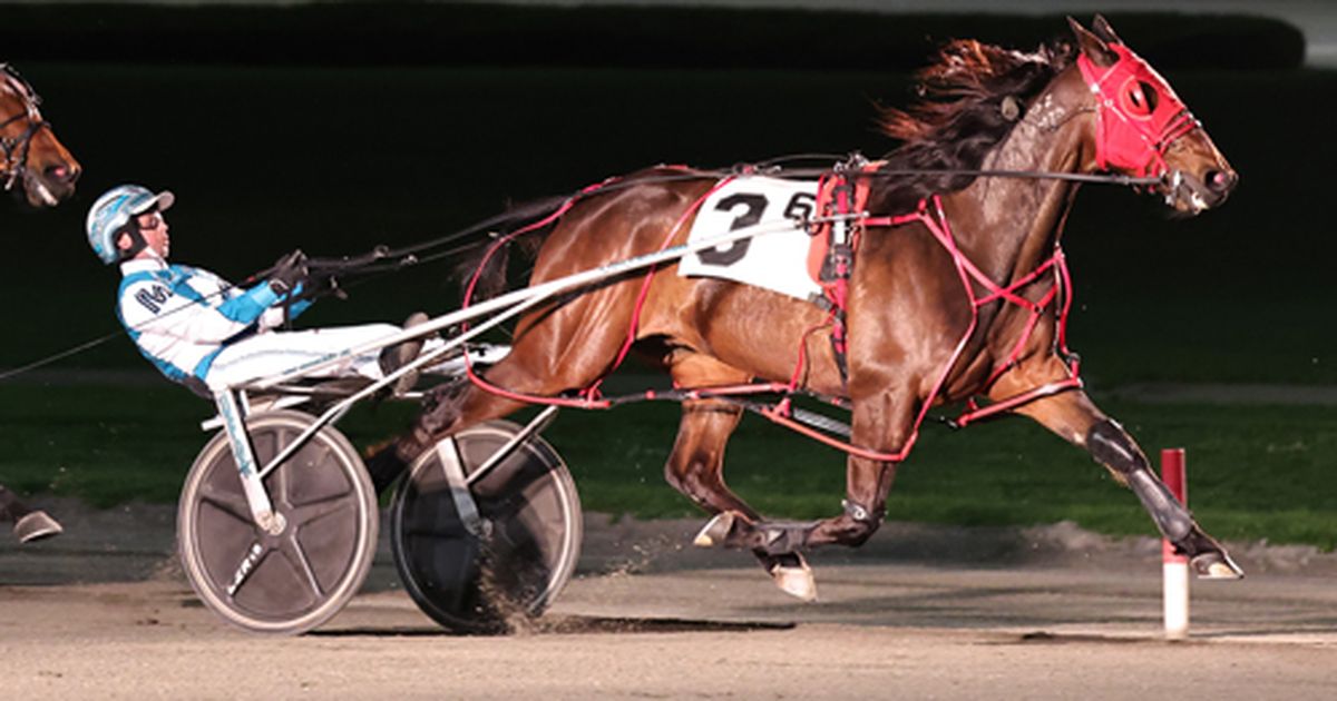 Yonkers: May 8 Borgata final shapes up as must-see harness racing