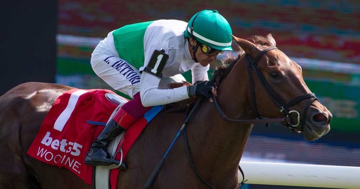 Aretha steps into stakes company in Ontario Colleen off debut win