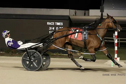 Sammy Jo Hanover 10-11-25