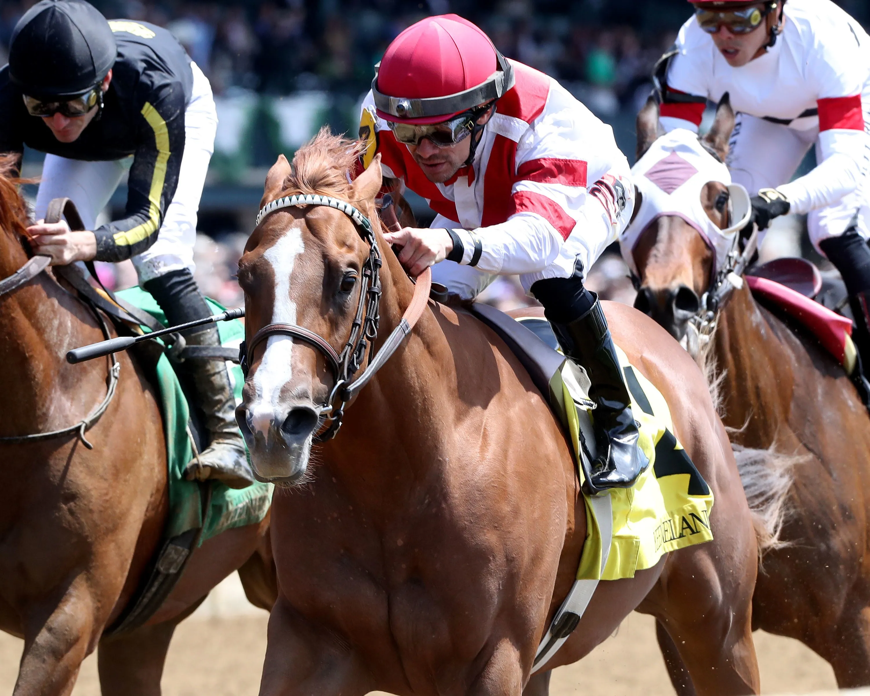 Mr Skylight wins at KEE April 20 2024