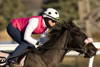 DePaulo sends strong duo in maiden dash
