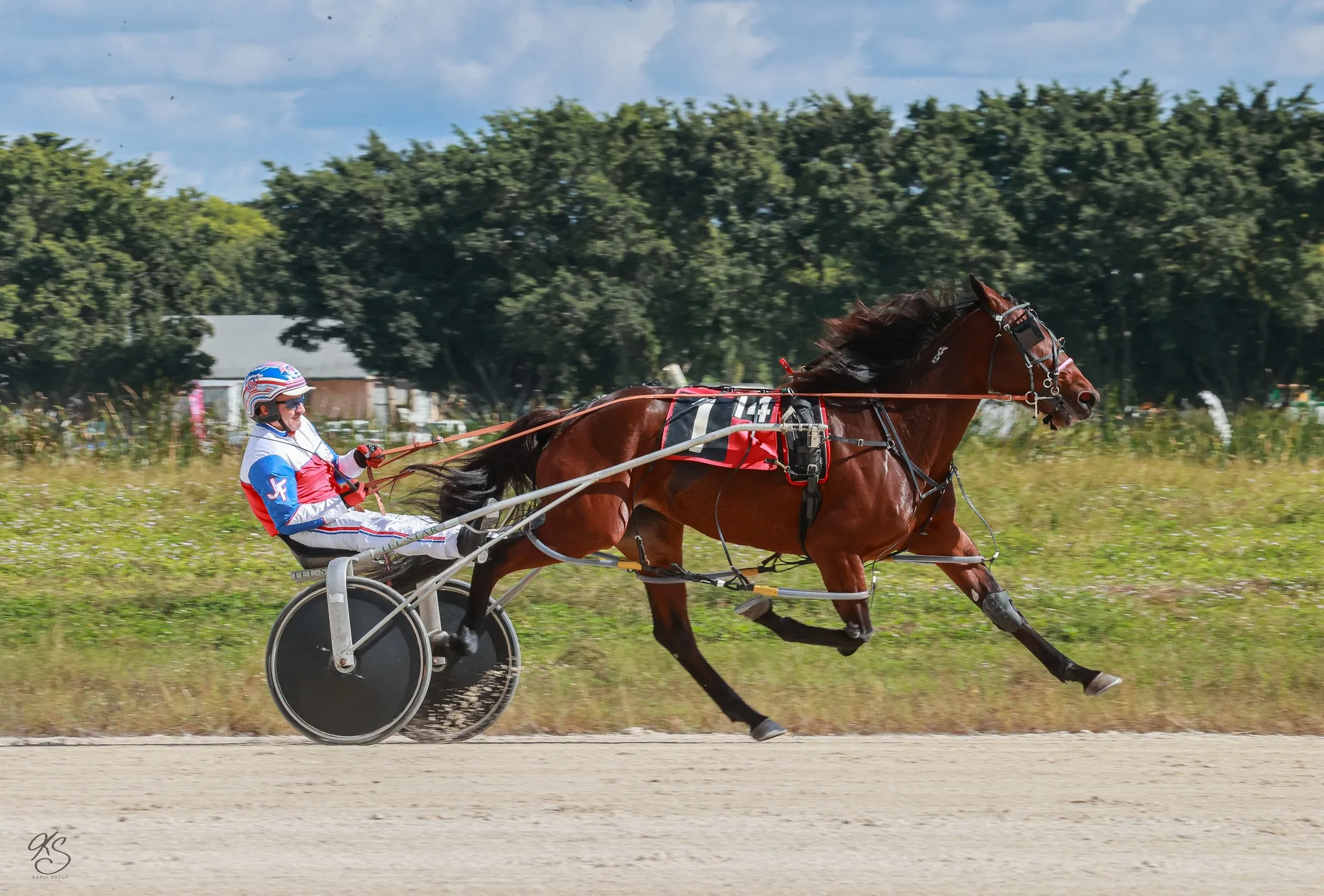 Joseph Fiorello_11-15-25 Prairie Puma and driver winning Florida Sunshine Stakes Final (Karli Shoop Photo).jpg